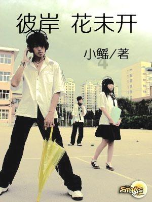 射击红色鸟